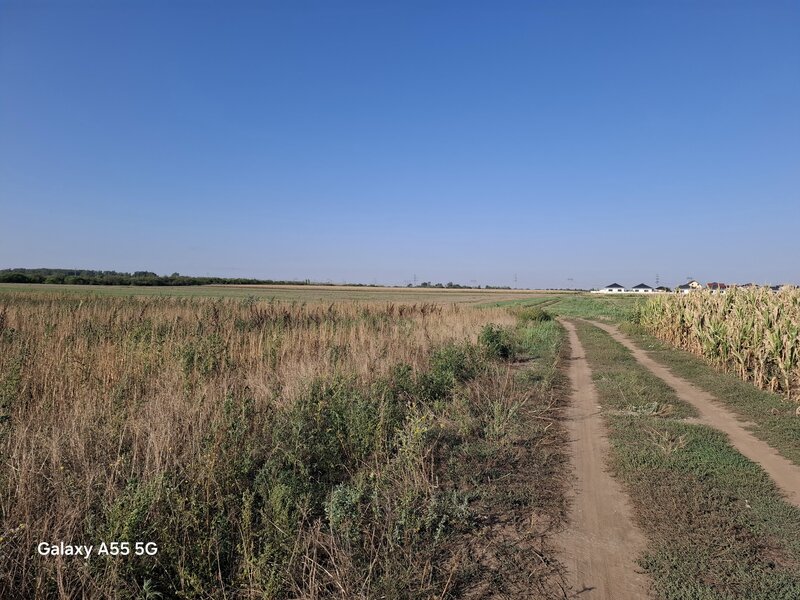 Clinceni, Orasul Bragadiru, teren de vanzare intravilan 16.500mp