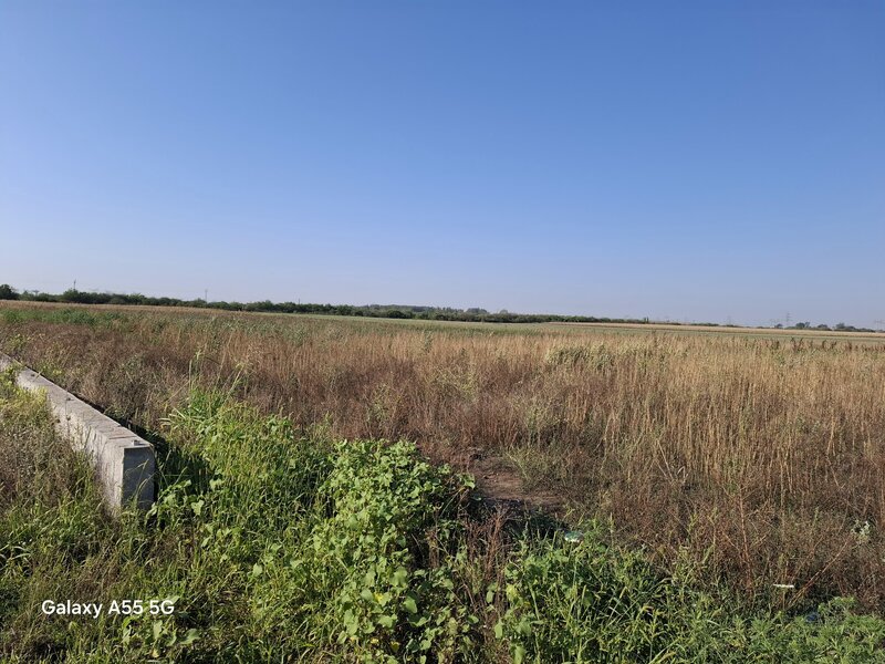 Clinceni, Orasul Bragadiru, teren de vanzare intravilan 16.500mp